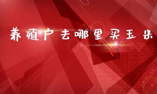 养殖户去哪里买玉米_https://www.fsyjjx.cn_期货资讯_第1张
