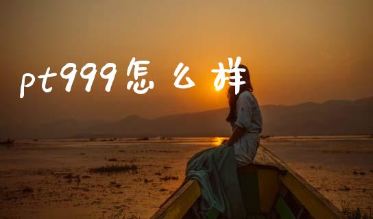 pt999怎么样_https://www.fsyjjx.cn_期货研报_第1张