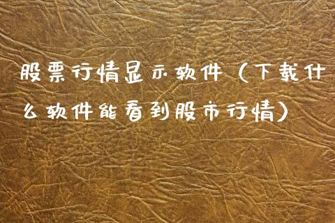 股票行情显示软件（下载什么软件能看到股市行情）_https://www.fsyjjx.cn_股票指导_第1张
