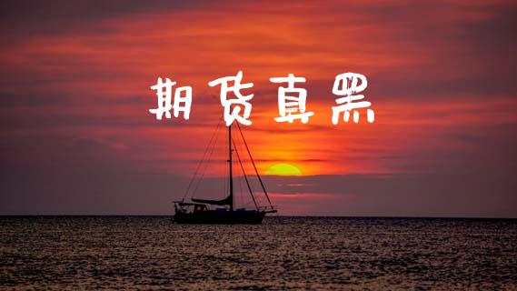 期货真黑_https://www.fsyjjx.cn_股票指导_第1张