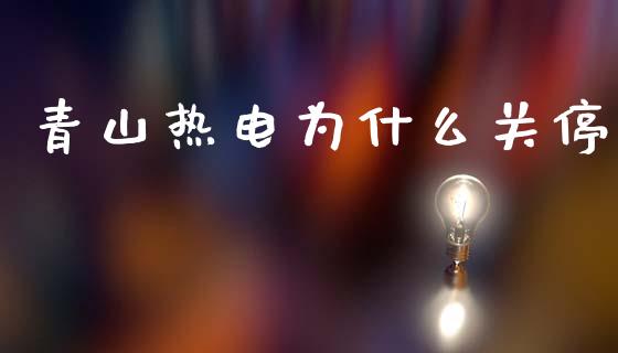 青山热电为什么关停_https://www.fsyjjx.cn_理财资讯_第1张