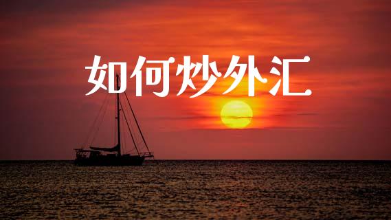 如何炒外汇_https://www.fsyjjx.cn_期货在线_第1张