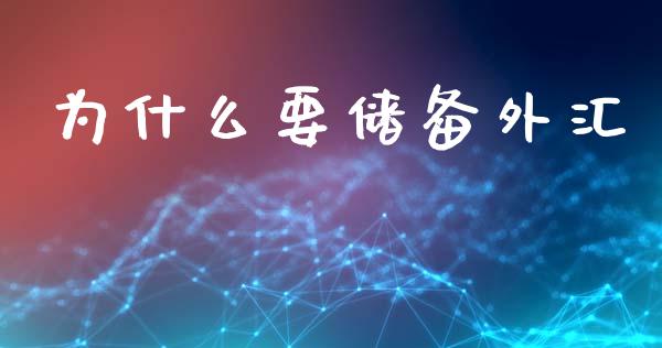 为什么要储备外汇_https://www.fsyjjx.cn_股市分析_第1张