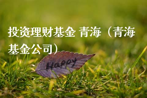 投资理财基金 青海（青海基金公司）_https://www.fsyjjx.cn_问财精选_第1张