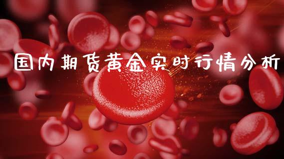 国内期货黄金实时行情分析_https://www.fsyjjx.cn_期货研报_第1张