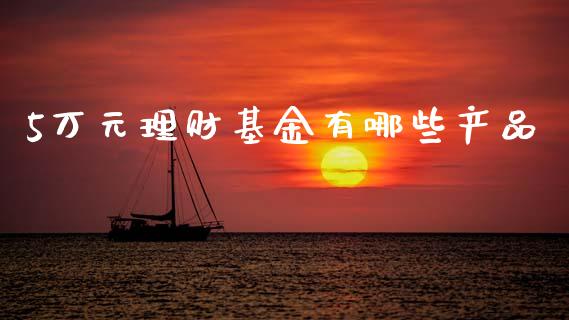 5万元理财基金有哪些产品_https://www.fsyjjx.cn_问财精选_第1张