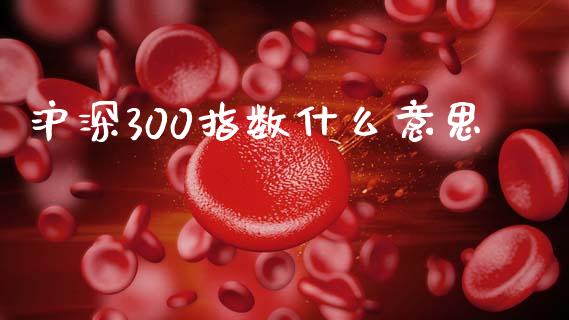 沪深300指数什么意思_https://www.fsyjjx.cn_期货在线_第1张