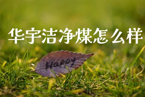 华宇洁净煤怎么样_https://www.fsyjjx.cn_期货资讯_第1张