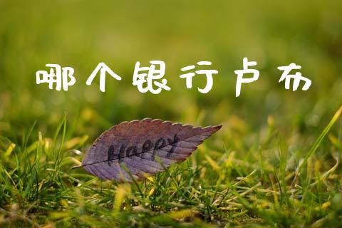 哪个银行卢布_https://www.fsyjjx.cn_股指期货_第1张