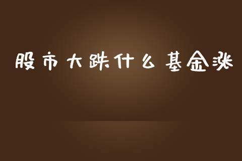 股市大跌什么基金涨_https://www.fsyjjx.cn_理财资讯_第1张