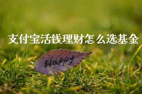 支付宝活钱理财怎么选基金_https://www.fsyjjx.cn_理财资讯_第1张
