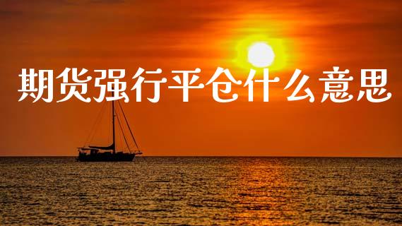 期货强行平仓什么意思_https://www.fsyjjx.cn_期货在线_第1张