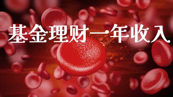 基金理财一年收入_https://www.fsyjjx.cn_问财精选_第1张