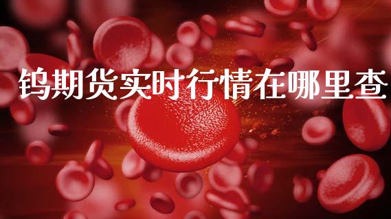 钨期货实时行情在哪里查_https://www.fsyjjx.cn_期货资讯_第1张