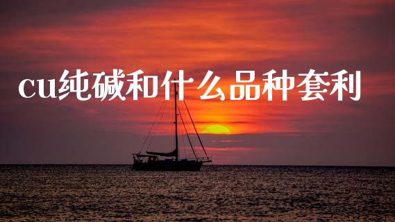 cu纯碱和什么品种套利_https://www.fsyjjx.cn_问财精选_第1张