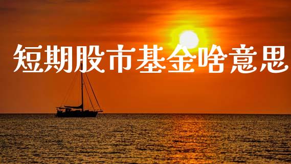 短期股市基金啥意思_https://www.fsyjjx.cn_问财精选_第1张