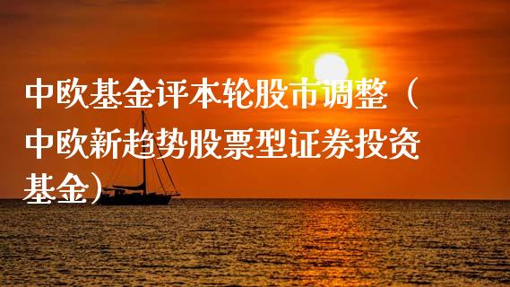 中欧基金评本轮股市调整（中欧新趋势股票型证券投资基金）_https://www.fsyjjx.cn_问财精选_第1张