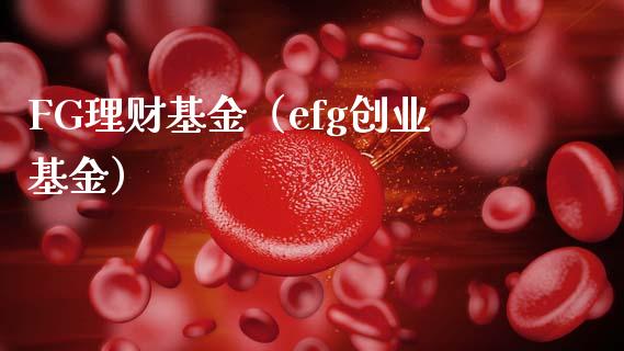 FG理财基金（efg创业基金）_https://www.fsyjjx.cn_问财精选_第1张