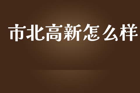 市北高新怎么样_https://www.fsyjjx.cn_股票指导_第1张