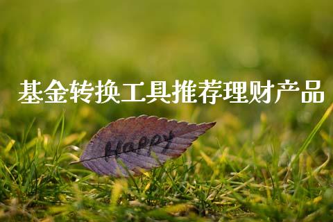 基金转换工具推荐理财产品_https://www.fsyjjx.cn_问财精选_第1张