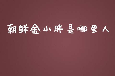 朝鲜金小胖是哪里人_https://www.fsyjjx.cn_期货资讯_第1张