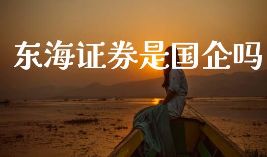 东海证券是国企吗_https://www.fsyjjx.cn_期货资讯_第1张