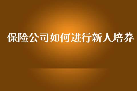 保险公司如何进行新人培养_https://www.fsyjjx.cn_理财资讯_第1张