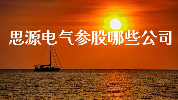思源电气参股哪些公司_https://www.fsyjjx.cn_期货资讯_第1张