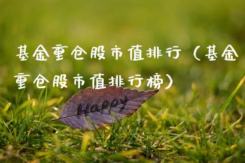 基金重仓股市值排行（基金重仓股市值排行榜）_https://www.fsyjjx.cn_理财资讯_第1张