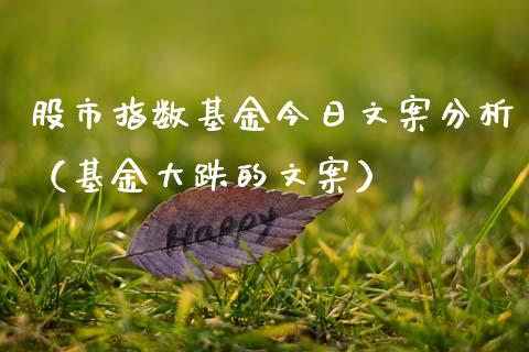 股市指数基金今日文案分析（基金大跌的文案）_https://www.fsyjjx.cn_理财资讯_第1张