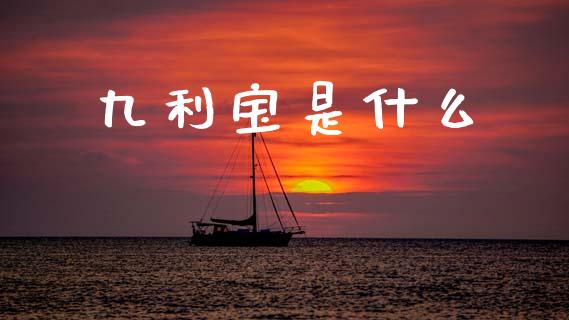 九利宝是什么_https://www.fsyjjx.cn_理财资讯_第1张