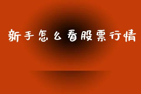 新手怎么看股票行情_https://www.fsyjjx.cn_股票指导_第1张