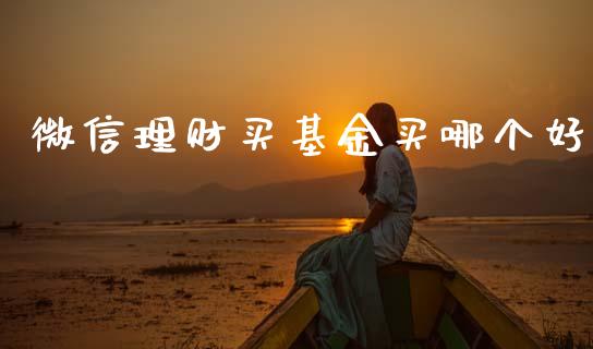 微信理财买基金买哪个好_https://www.fsyjjx.cn_问财精选_第1张