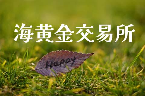 海黄金交易所_https://www.fsyjjx.cn_期货资讯_第1张