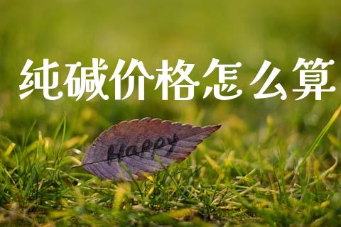 纯碱价格怎么算_https://www.fsyjjx.cn_股指期货_第1张