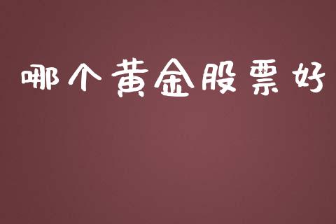 哪个黄金股票好_https://www.fsyjjx.cn_期货资讯_第1张