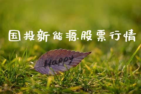 国投新能源股票行情_https://www.fsyjjx.cn_股市分析_第1张