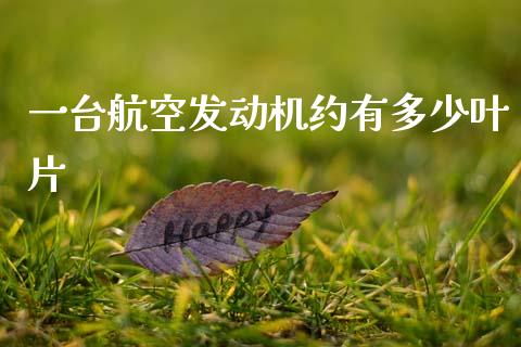一台航空发动机约有多少叶片_https://www.fsyjjx.cn_期货研报_第1张