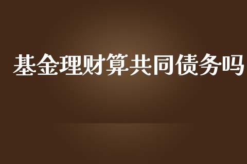 基金理财算共同债务吗_https://www.fsyjjx.cn_问财精选_第1张