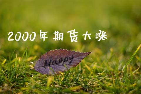 2000年期货大涨_https://www.fsyjjx.cn_期货资讯_第1张