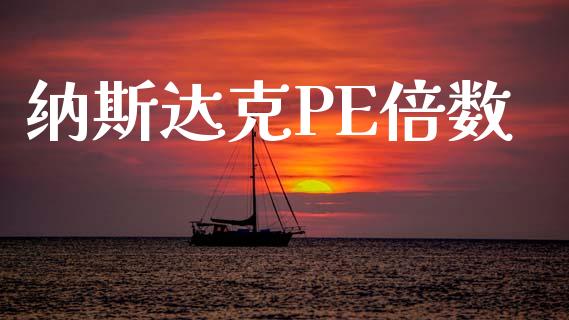 纳斯达克PE倍数_https://www.fsyjjx.cn_期货研报_第1张