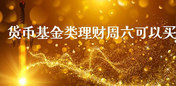 货币基金类理财周六可以买_https://www.fsyjjx.cn_问财精选_第1张