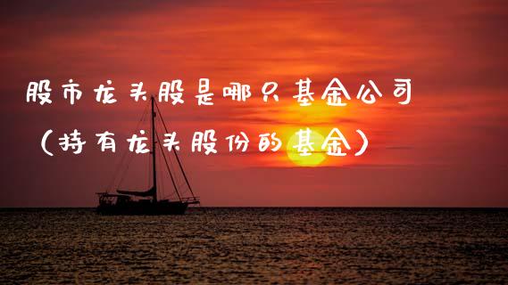 股市龙头股是哪只基金公司（持有龙头股份的基金）_https://www.fsyjjx.cn_理财资讯_第1张