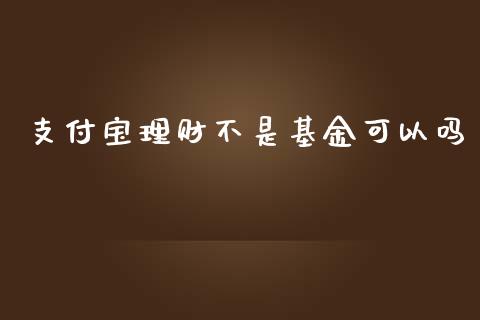 支付宝理财不是基金可以吗_https://www.fsyjjx.cn_问财精选_第1张