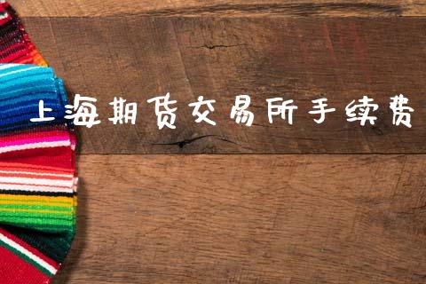 上海期货交易所手续费_https://www.fsyjjx.cn_问财精选_第1张