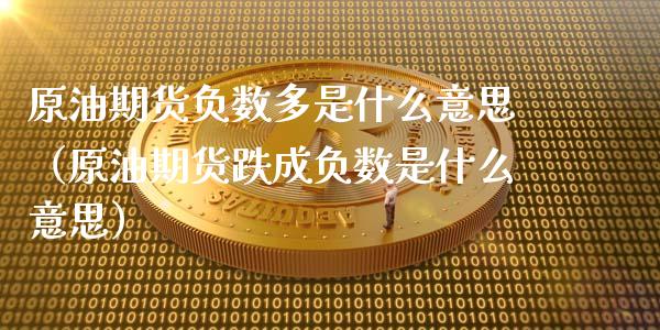 原油期货负数多是什么意思（原油期货跌成负数是什么意思）_https://www.fsyjjx.cn_期货资讯_第1张