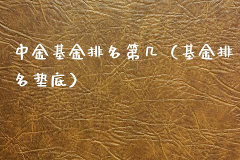 中金基金排名第几（基金排名垫底）_https://www.fsyjjx.cn_理财资讯_第1张