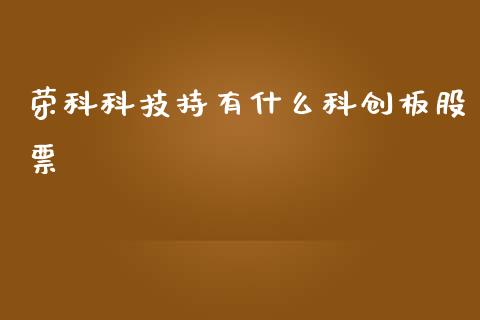 荣科科技持有什么科创板股票_https://www.fsyjjx.cn_股市分析_第1张