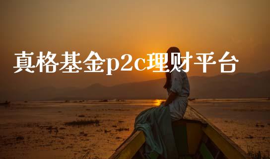 真格基金p2c理财平台_https://www.fsyjjx.cn_理财资讯_第1张