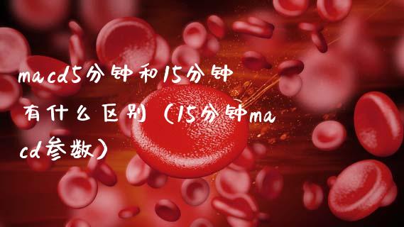 macd5分钟和15分钟有什么区别（15分钟macd参数）_https://www.fsyjjx.cn_问财精选_第1张